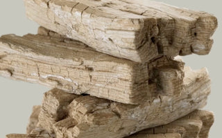 Sustainable Packaging