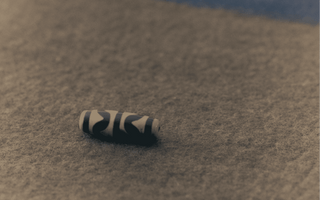 The Mark of Courage