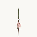 Osmanthus Charm Songmont 