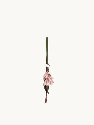 Osmanthus Charm Songmont 