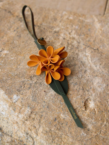 Osmanthus Charm Songmont 