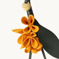 Osmanthus Charm Songmont 