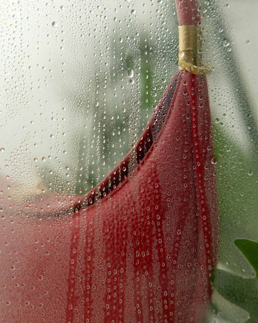 Luna Bag in Lucky Red with golden hardware detail, visible through a wet glass surface.