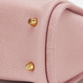 Pink Mini Song Bag with gold feet. Textured leather detail.