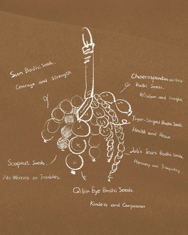Sketch of Bodhi & Soapnut seeds charm with labels: Sun Bodhi (Courage/Strength), Choerospondias axillaris Bodhi (Wisdom/Insight), Tiger-Striped Bodhi (Health/Peace), Job's Tears Bodhi (Harmony/Tranquility), Qilin Eye Bodhi (Kindness/Compassion), Soapnut (No Worries/Troubles).